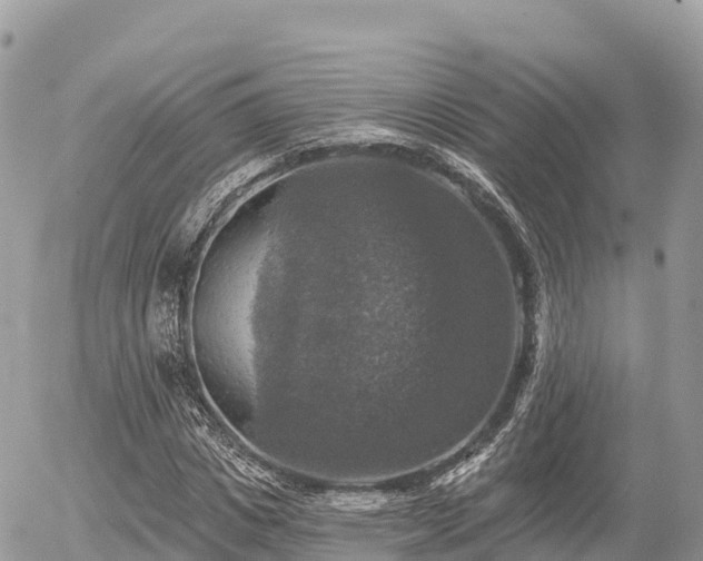 X0000055990825200508261722