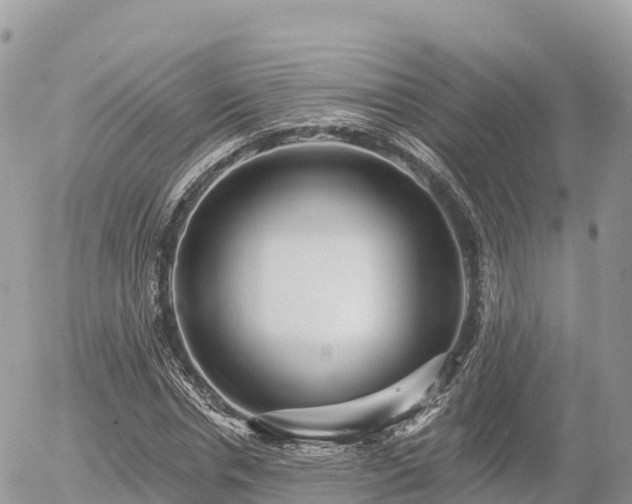 X0000055990826200508261722