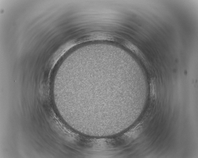 X0000055990828200508261722