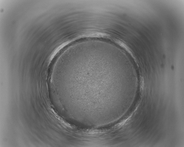 X0000055990829200508261722