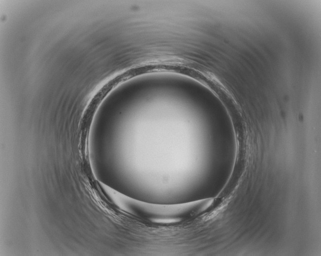 X0000055990830200508261722