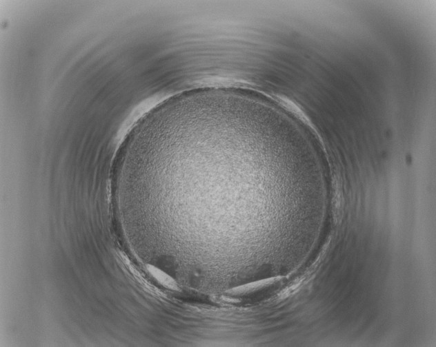 X0000055990831200508261722