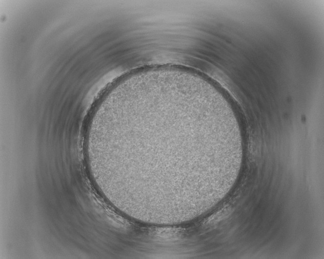 X0000055990832200508261722