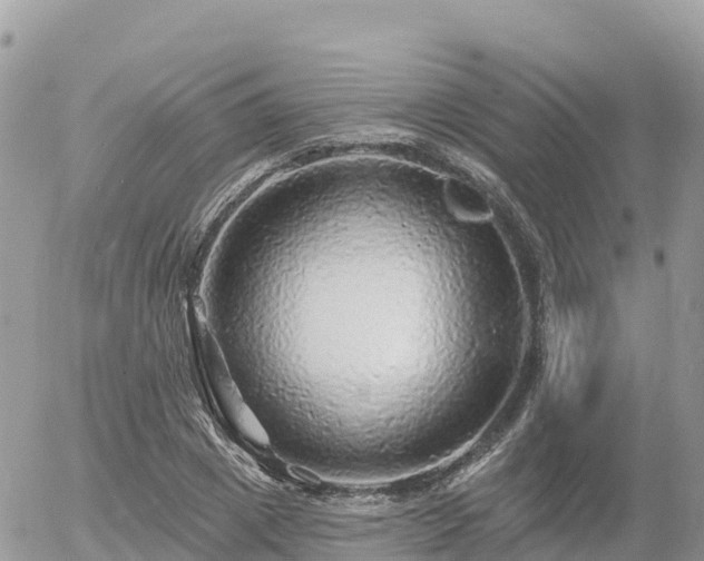 X0000055990833200508261722