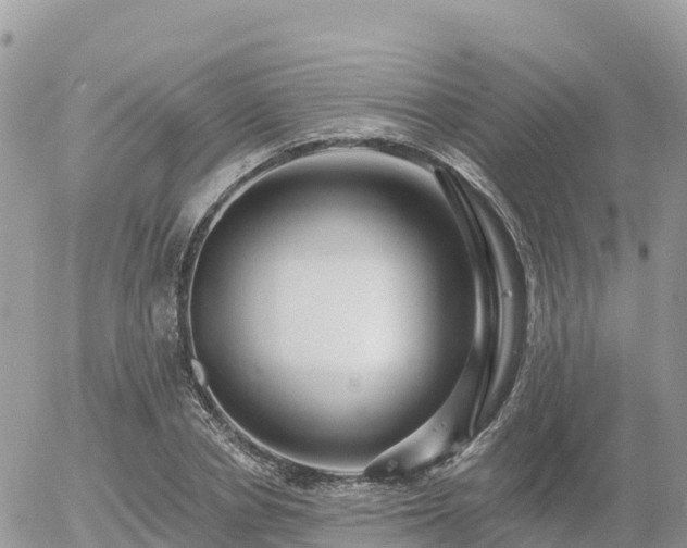 X0000055990834200508261722