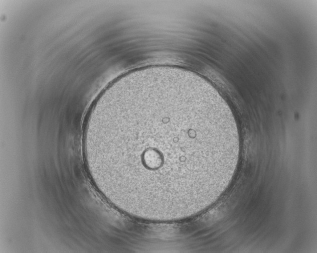 X0000055990836200508261722