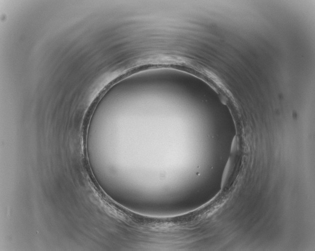 X0000055990837200508261722