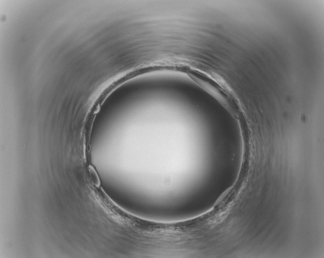 X0000055990838200508261722