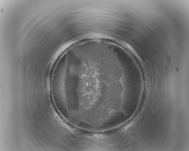 X0000055990839200508261722