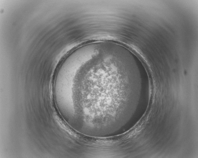 X0000055990840200508261722