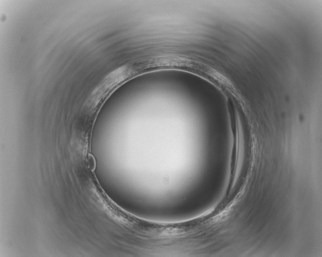 X0000055990841200508261722