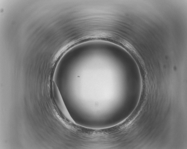 X0000055990842200508261722