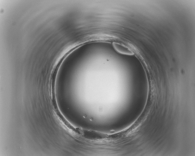 X0000055990843200508261722