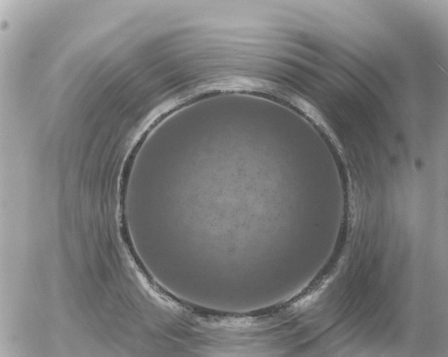 X0000055990845200508261722