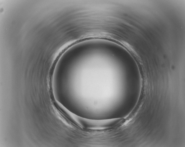 X0000055990846200508261722