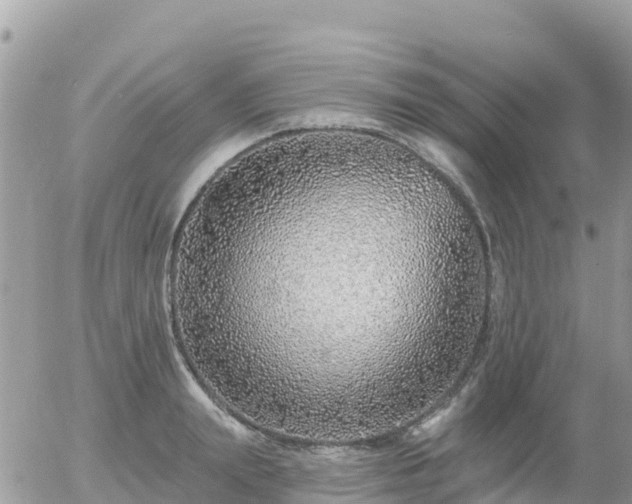 X0000055990847200508261722