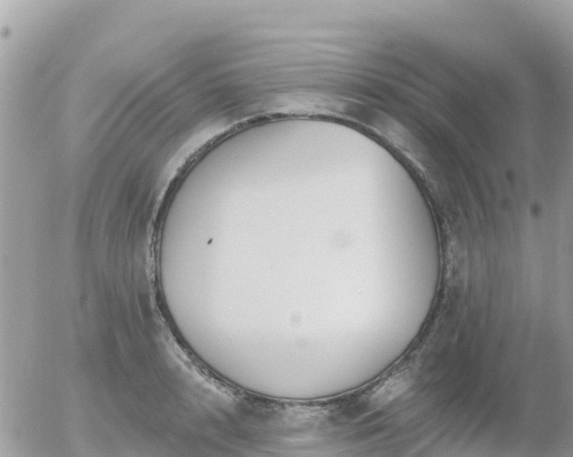 X0000055990848200508261722