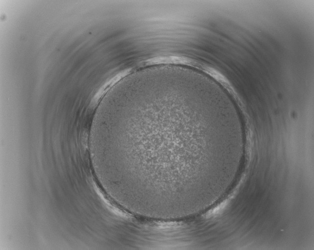 X0000055990849200508261722