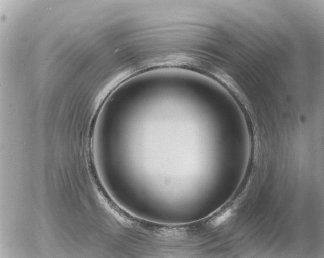 X0000055990850200508261722