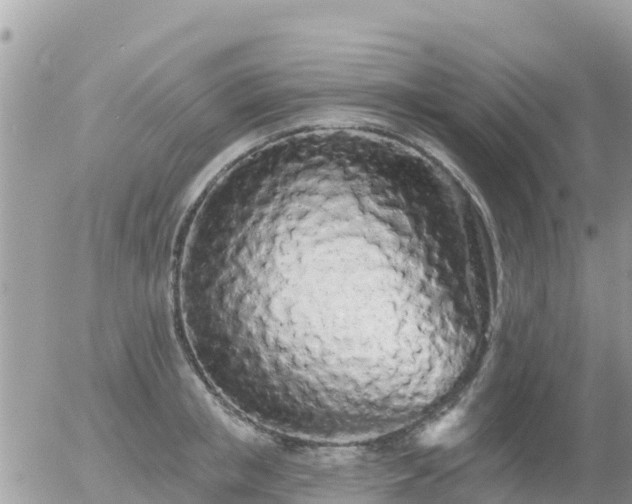 X0000055990853200508261722