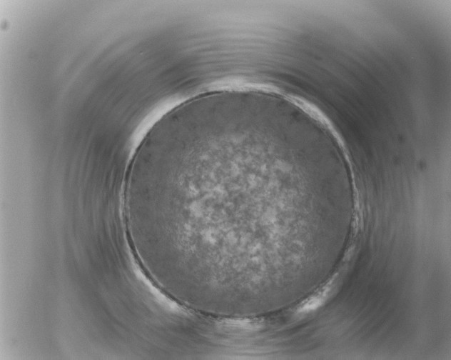 X0000055990855200508261722