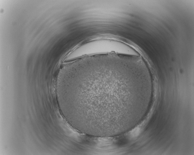 X0000055990857200508261722