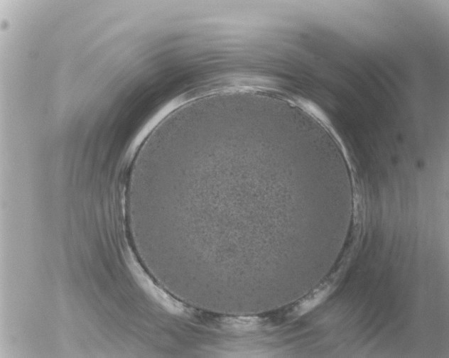 X0000055990859200508261722