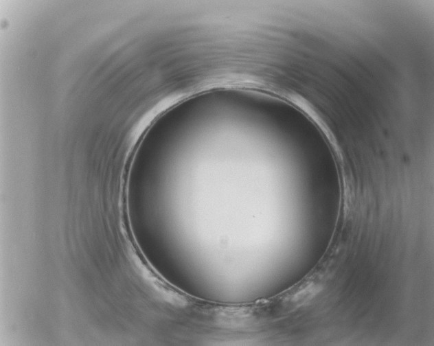 X0000055990861200508261722