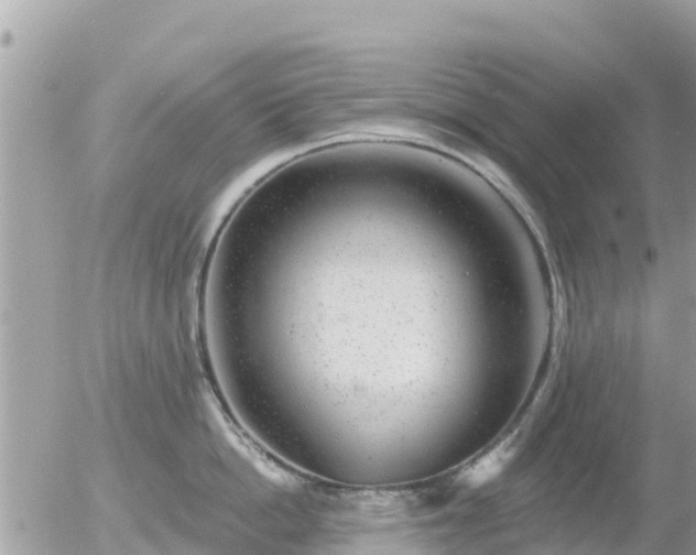 X0000055990862200508261722