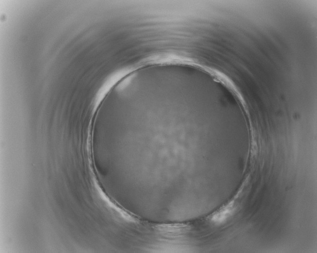 X0000055990863200508261722