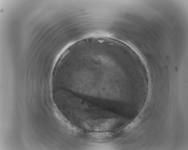 X0000055990864200508261722