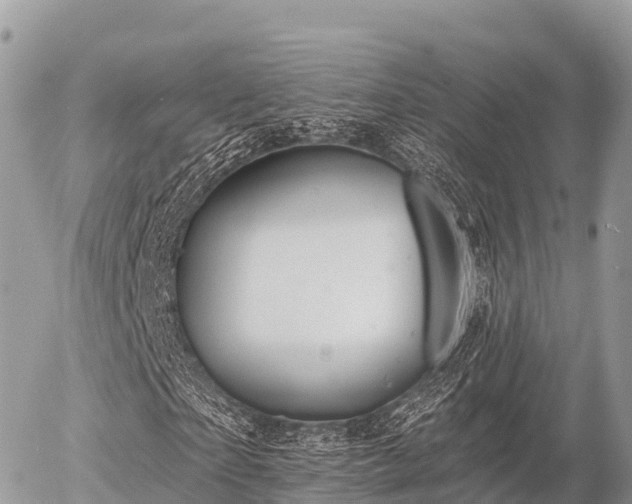 X0000055990865200508261722