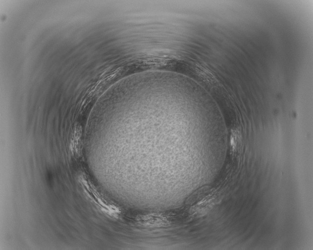 X0000055990867200508261722