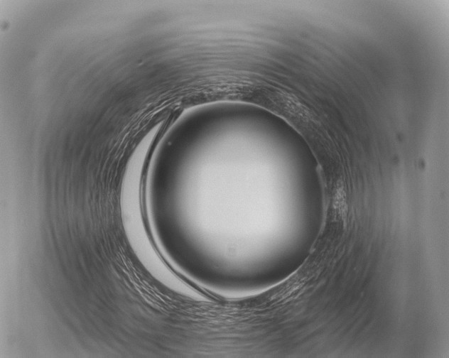 X0000055990868200508261722