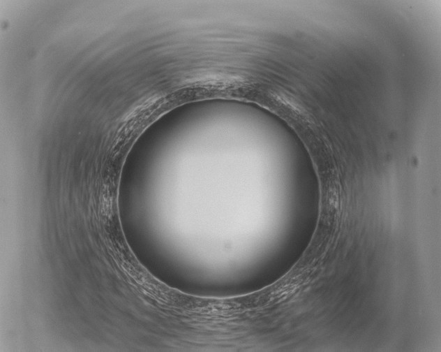 X0000055990869200508261722