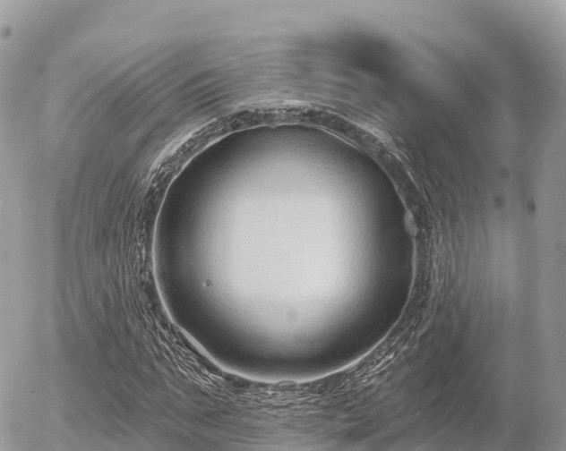 X0000055990871200508261722