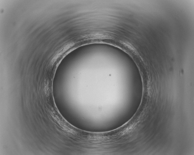 X0000055990873200508261721