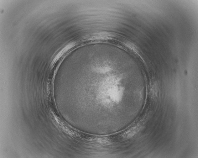 X0000055990874200508261721