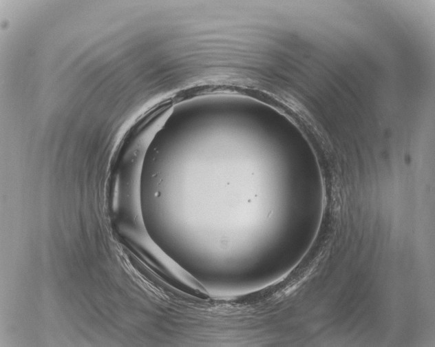 X0000055990880200508261721