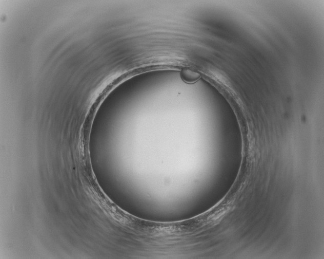 X0000055990883200508261721