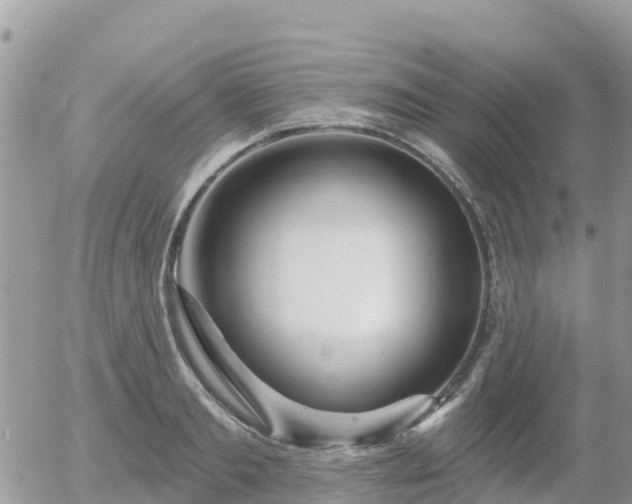 X0000055990893200508261721