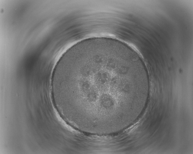 X0000055990895200508261721