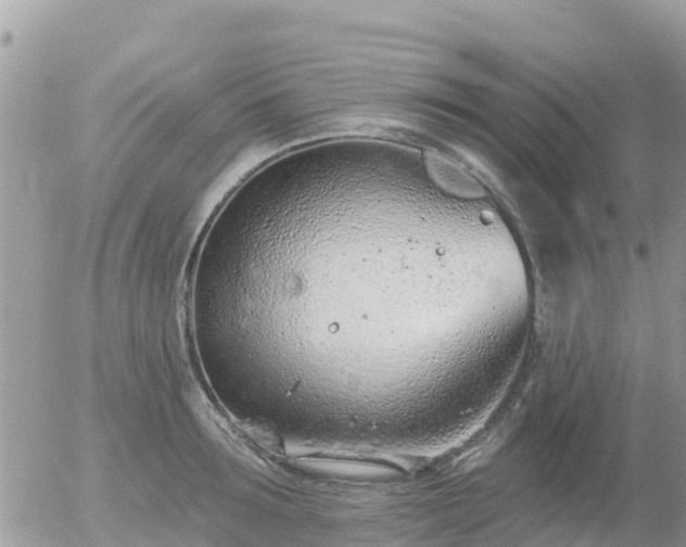 X0000055990899200508261721