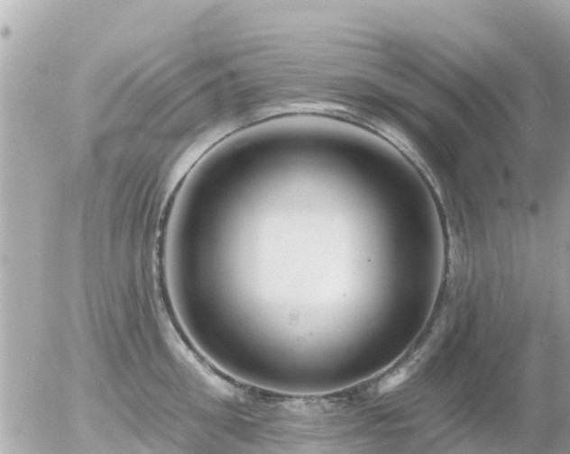 X0000055990906200508261721