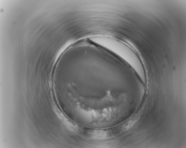 X0000055990907200508261721