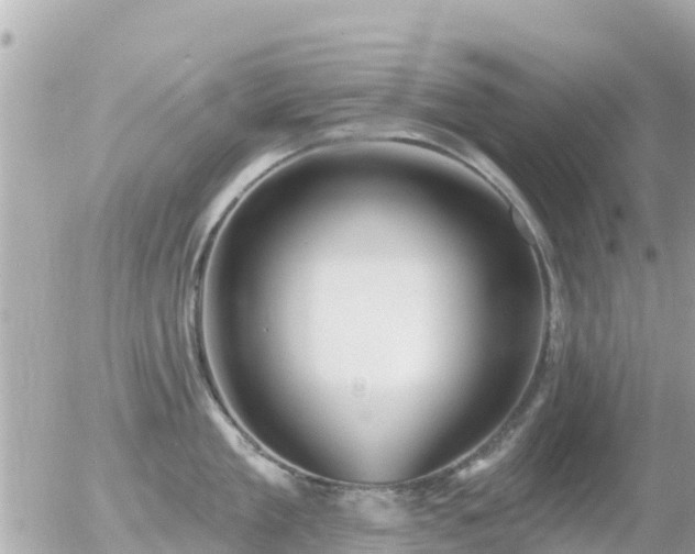 X0000055990909200508261721