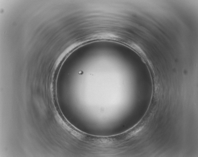 X0000055990947200508261721