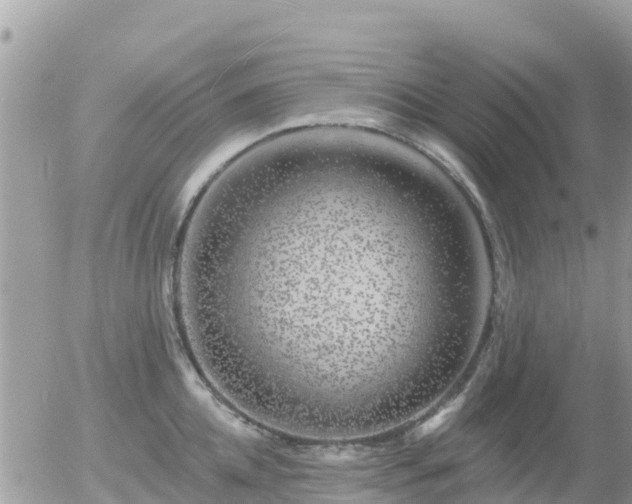 X0000055990952200508261721