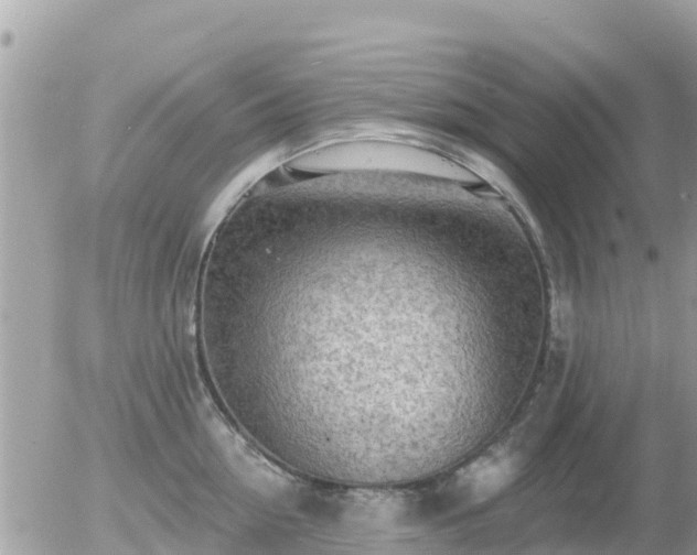 X0000055990954200508261721