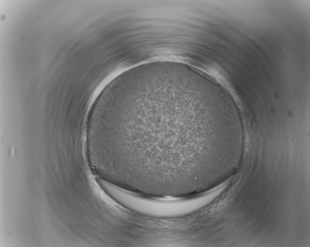 X0000055990955200508261721